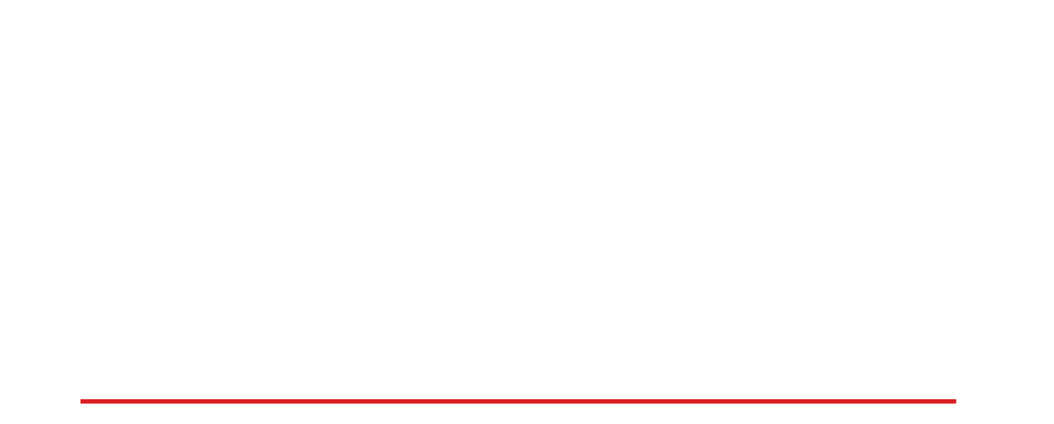 Dents Inc